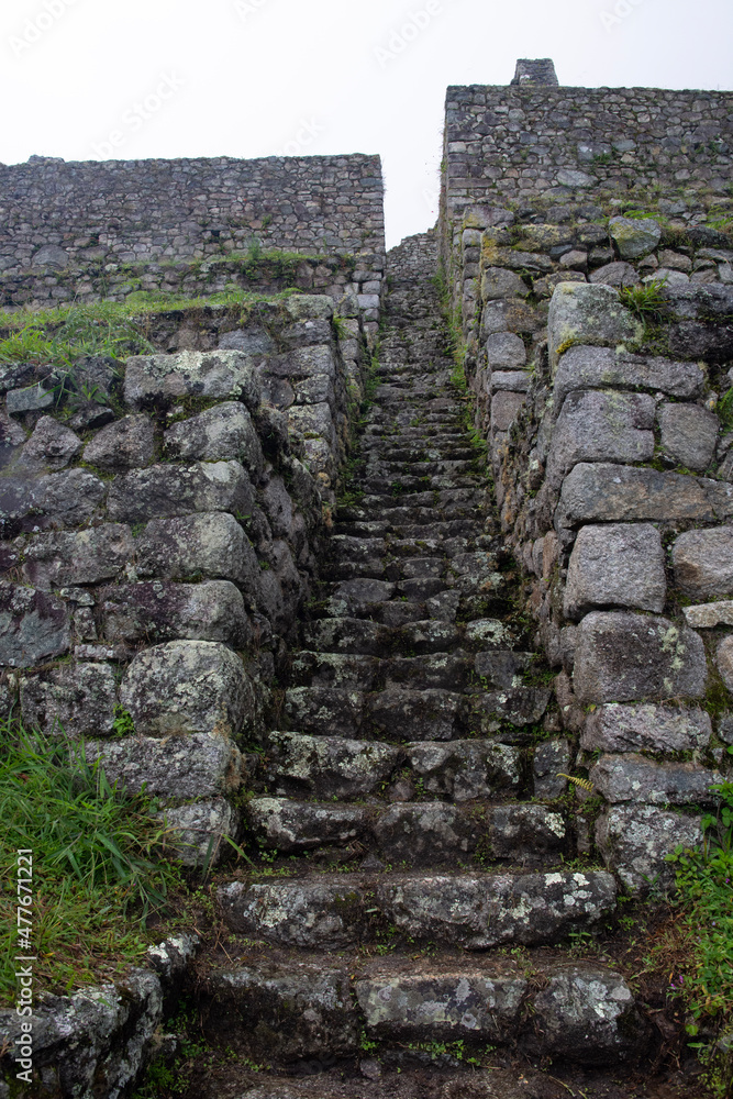 ruins of the castle