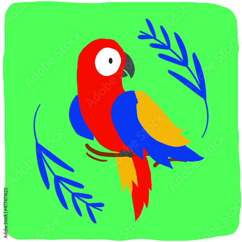 Colorful arara hand drawing vector