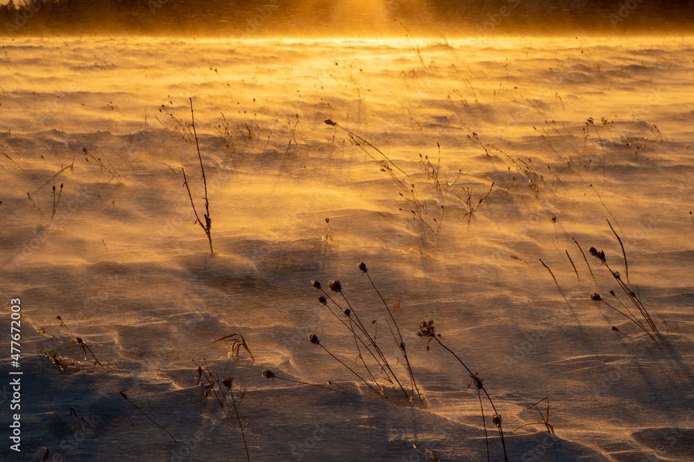 Fototapeta premium sunrise in the snow