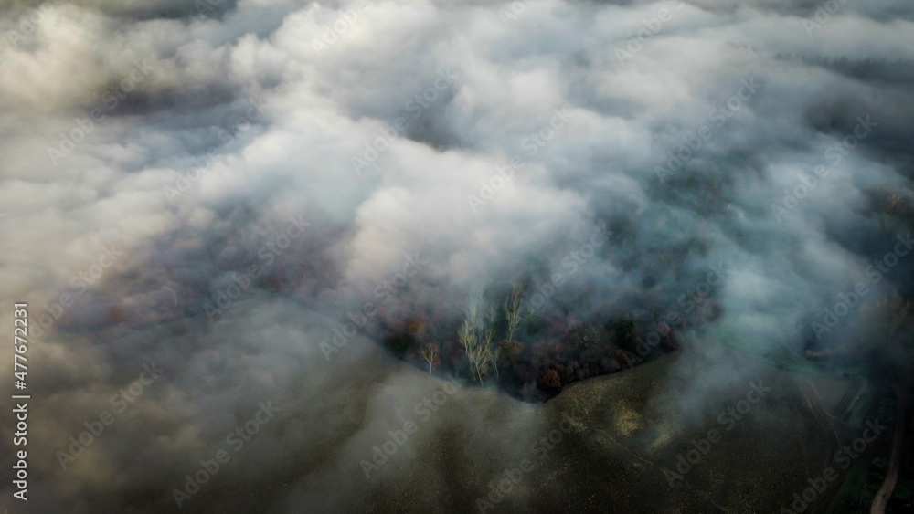 Layers of fog color a winter day Layers of fog color a winter day