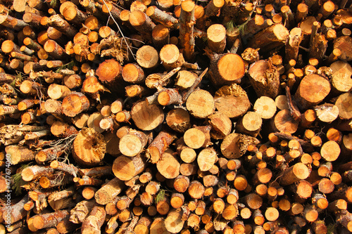 Closeup of a Pile of freshly cut pine wood 