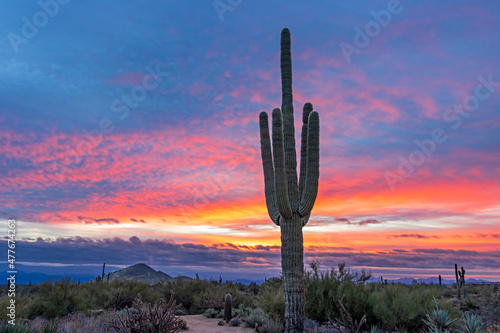 Sunrise Skies In North Scottsdale With Saguaro Cactus