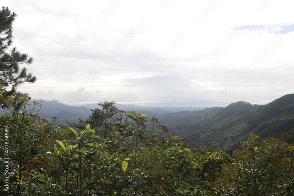 Fototapeta premium landscape with clouds