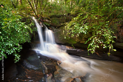 Fototapeta Naklejka Na Ścianę i Meble -  waterfall in the forest on nsw central coast