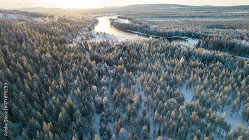 Aerial view of snowy winter forest with black river. Drone photography - panoramic image of beautiful frosty trees and loops of river in Jamtland County, Sweden