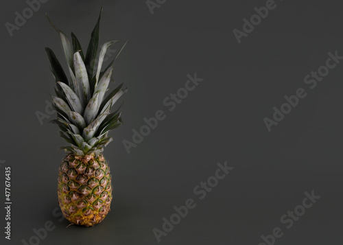 pineapple on grey background   Space for text 