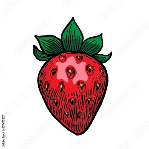 Red strawberry vector illustration isolated on white background