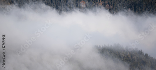 Amazing mystical rising fog forest trees landscape in black forest ( Schwarzwald ) Germany panorama banner .- dark mood..