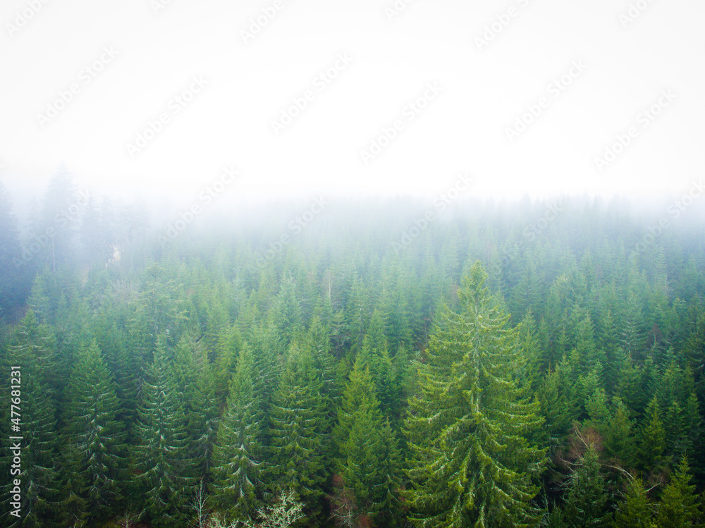 Schwarzwald bei Nebel Drohnenaufnahme aus der Luft