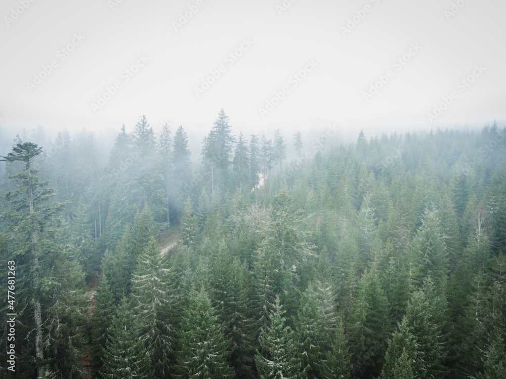 Schwarzwald bei Nebel Drohnenaufnahme aus der Luft