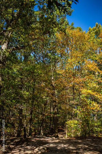 Fototapeta Naklejka Na Ścianę i Meble -  Autumn Leaf Color Change Cuyahoga National Park Ohio