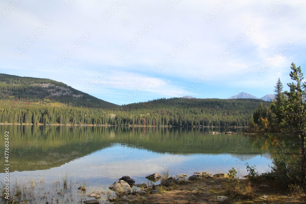 lake in the forest, Jasper National Park, Alberta