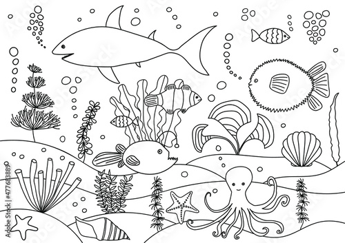 Photography Sea life animals coloring page