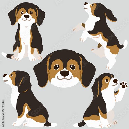 Flat colored adorable dark tri colored Beagle illustrations