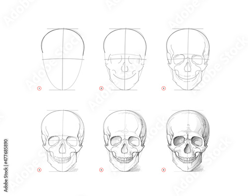 Page shows how to learn to draw sketch of human skull. Creation step by step pencil drawing. Educational page for artists. Textbook for developing artistic skills. Online education. Vector image photo
