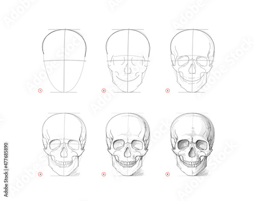 Page shows how to learn to draw sketch of human skull. Creation step by step pencil drawing. Educational page for artists. Textbook for developing artistic skills. Online education. Vector image