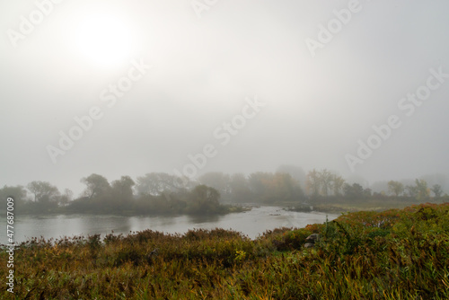 Foggy morning by the river 