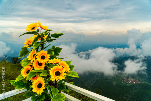 beautiful panoramic view from Telomoyo mountain with cloudy scenery, and sunflower. photo