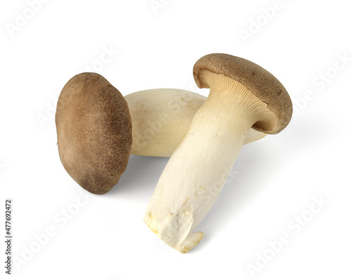 Organic mushroom on white background