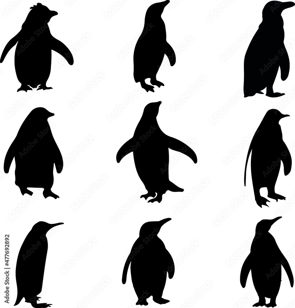 Obraz premium Penguin Silhouette Pack