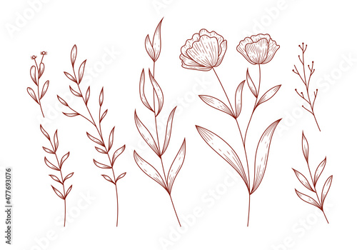 Rustic Hand drawn leaves floral flower isolated clipart illustration Vector photo