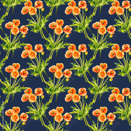 春の花の背景素材 ナガミヒナゲシのシームレスパターン 手描き水彩イラスト素材