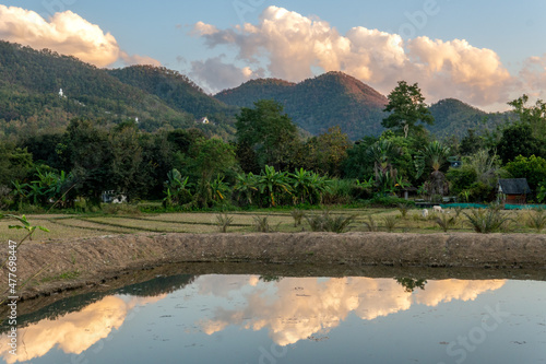 A field in Pai, Thailand with mountains and clouds in the distance
