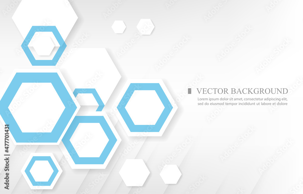Geometric vector white blue hexagon shape white background Geometric vector white blue hexagon shape white background