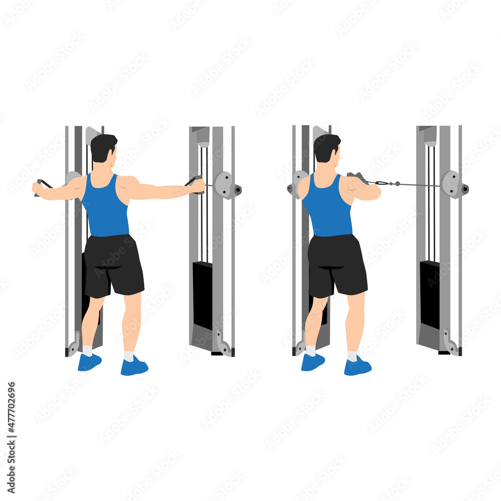 Man doing reverse cable flyes exercise. Flat vector illustration ...