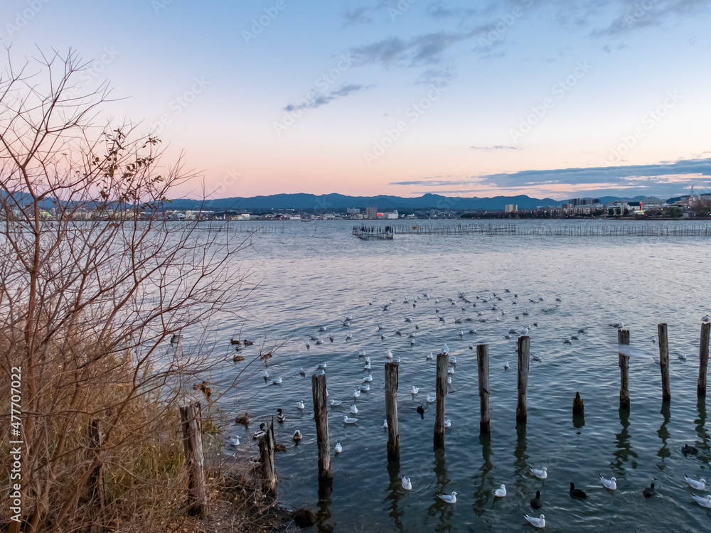 オレンジ色に染まる冬の琵琶湖畔の公園　夕暮れ