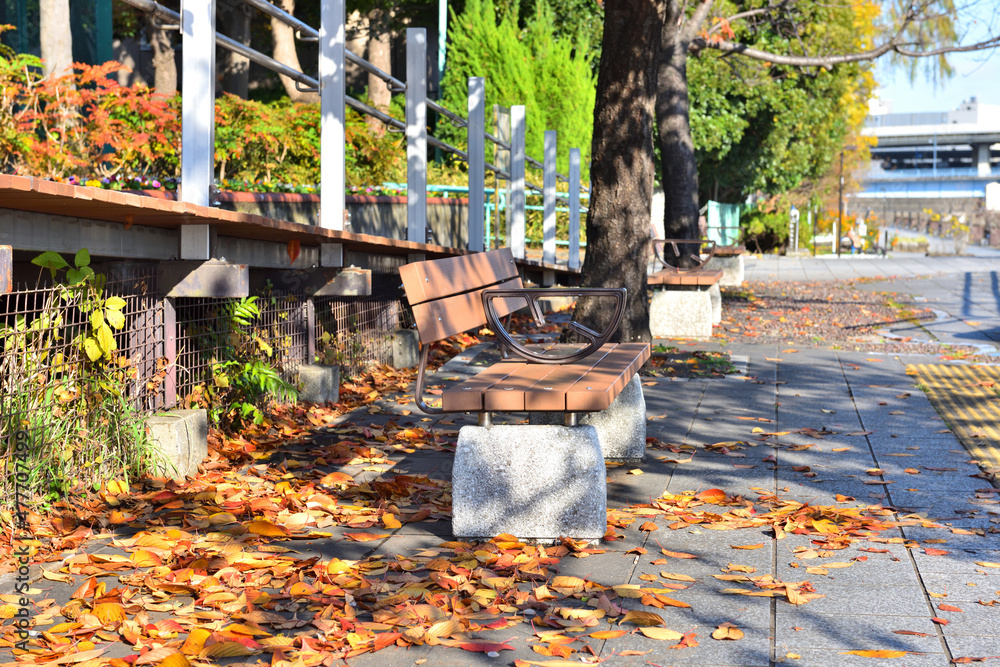 天王洲のベンチの周りに吹き溜まった枯れ葉