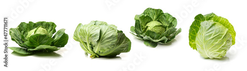 Foto cabbage on a white background