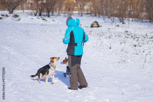 Female master playing with black mixed breed and basenji dog on countryside on at winter season