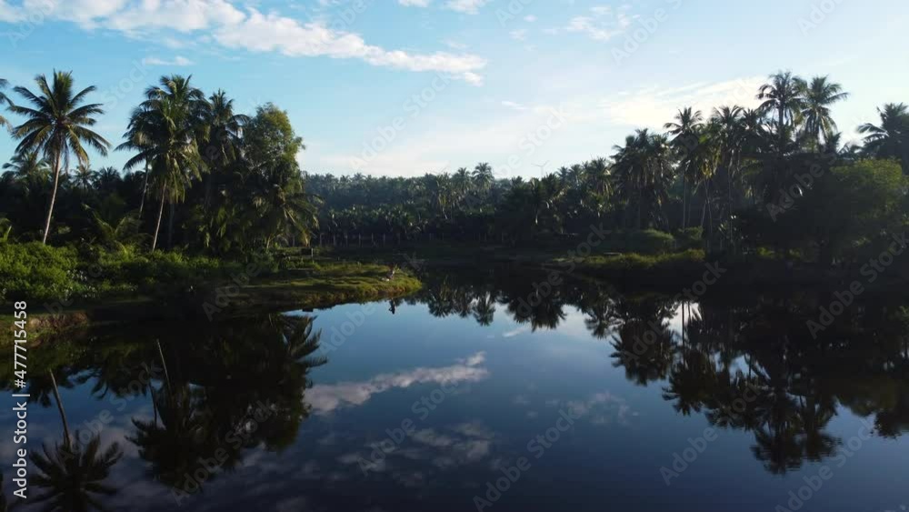 Paradise Concept, Palm Trees With Reflection In Water, Mui Ne, Vietnam, Aerial Paradise Concept, Palm Trees With Reflection In Water, Mui Ne, Vietnam, Aerial