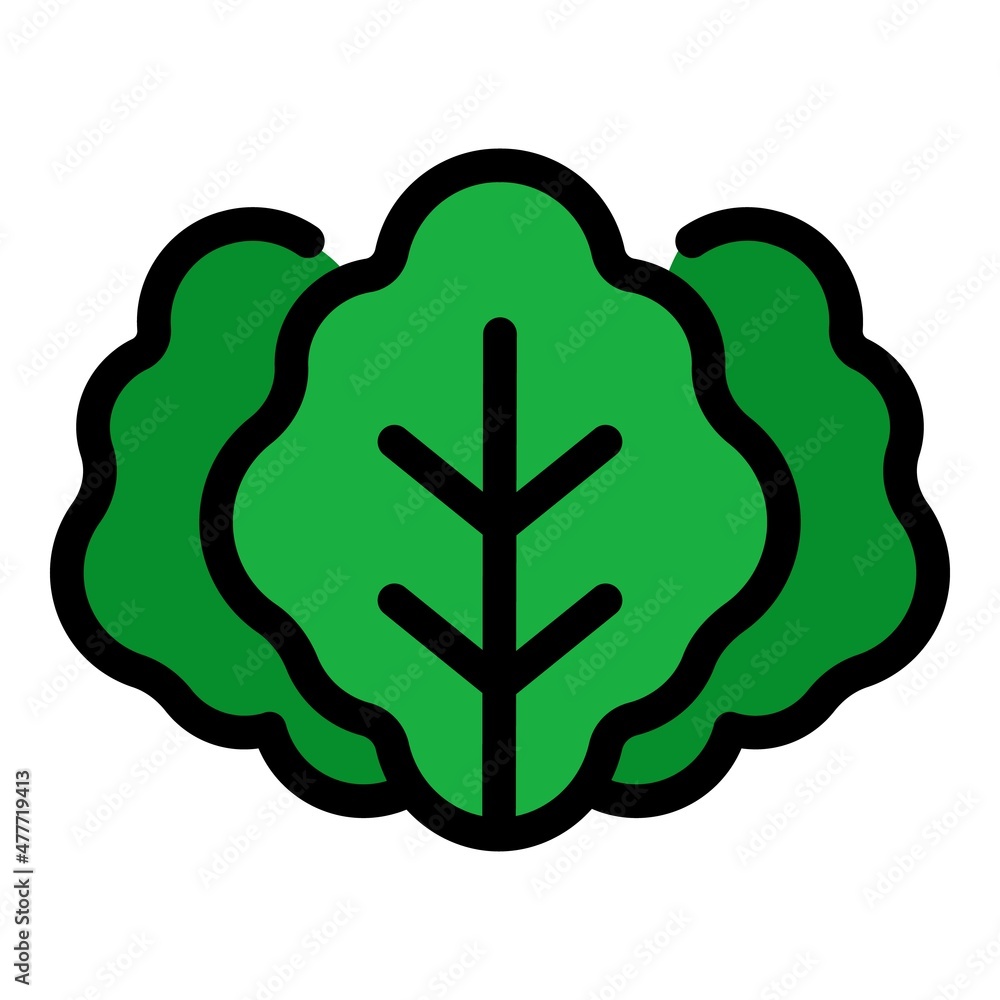 Leaves salad icon. Outline leaves salad vector icon color flat isolated Leaves salad icon. Outline leaves salad vector icon color flat isolated