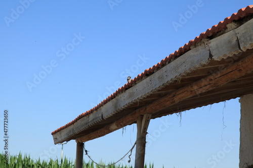 the roof of a house