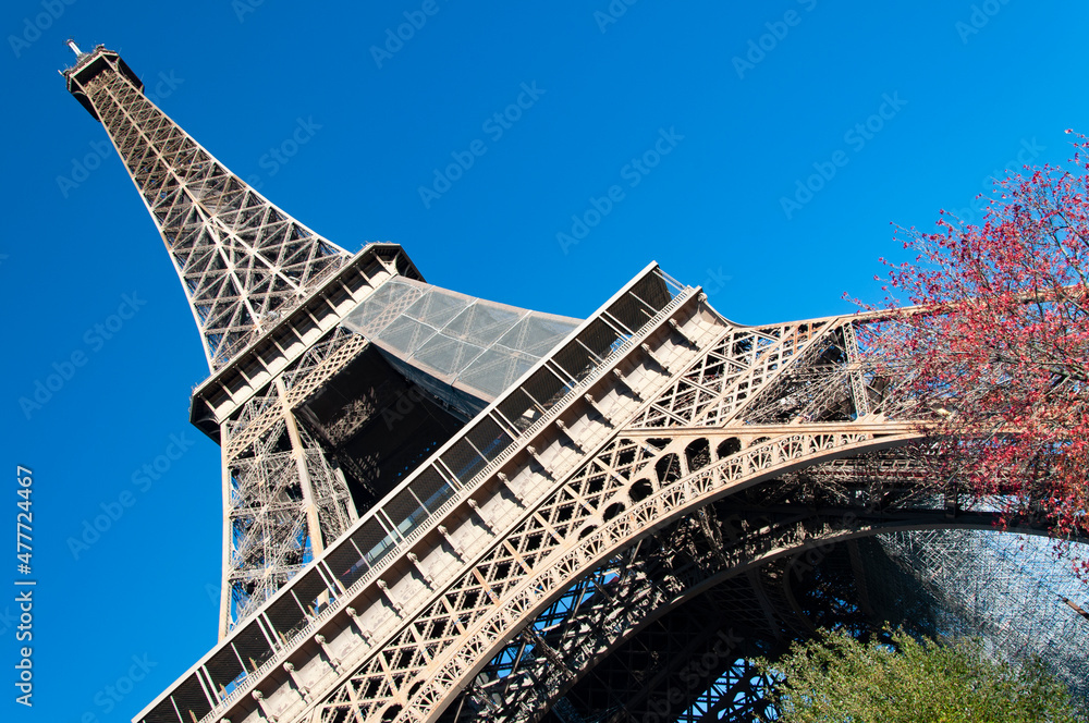 Fototapeta premium Torre Eiffel