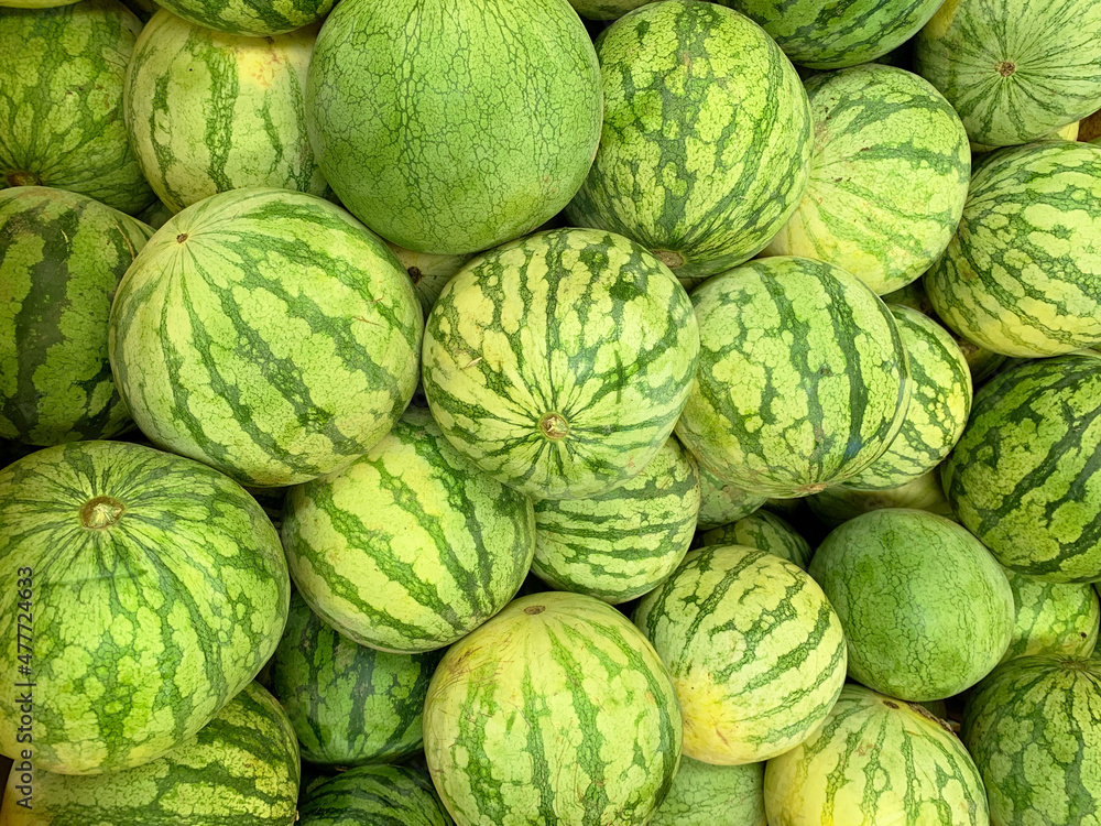 Obraz premium Sandía