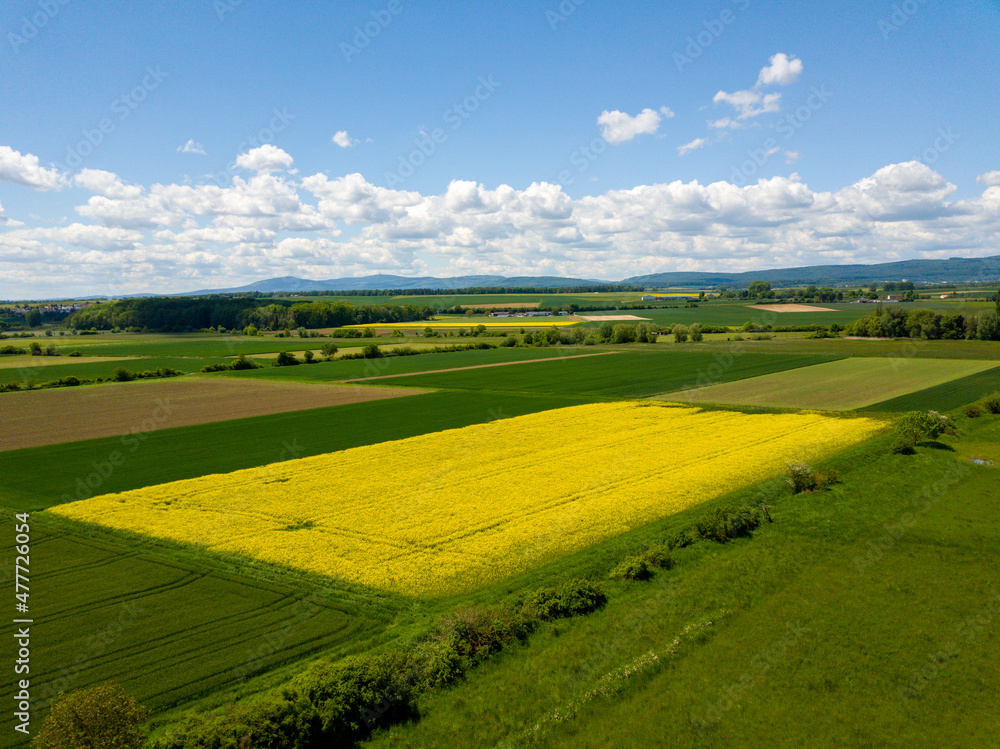 Fototapeta premium Rapeseed field aerial drone in Hessen Germany with clouds and blue sky on a summer day