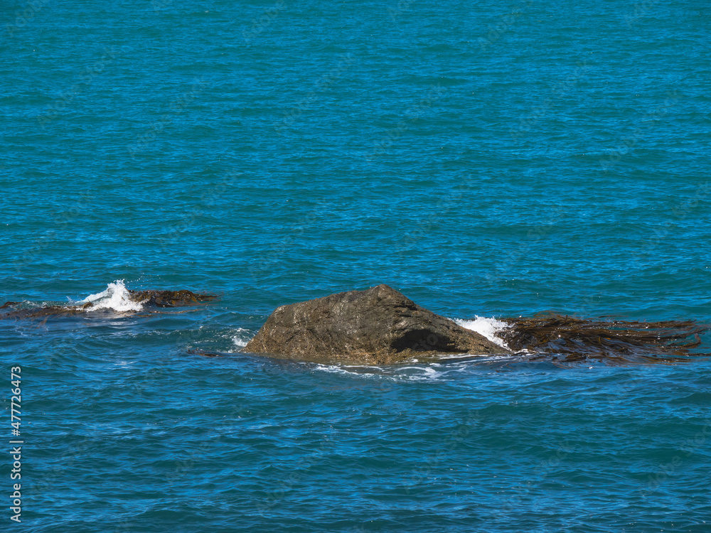 Fototapeta premium rock in the sea