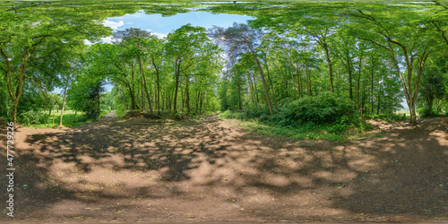 Fototapeta Naklejka Na Ścianę i Meble -  forest road in the woods, 360° x 180° equirectangular enviroment