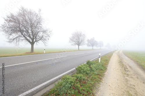 Wallpaper Mural landstrasse in kirchberg bei nebel Torontodigital.ca