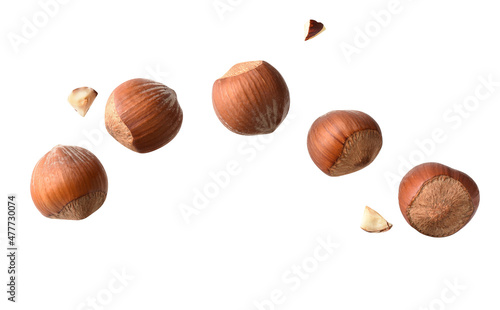 Schilderij op canvas hazelnut fly ,brown full piece hazelnut,hazelnut on white isolated clipping path