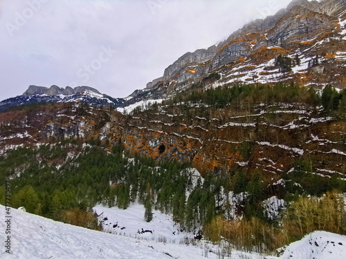 Alpine peak Marwees in the Alpstein mountain range and in the Appenzellerland region - Canton of Appenzell Innerrhoden (AI), Switzerland