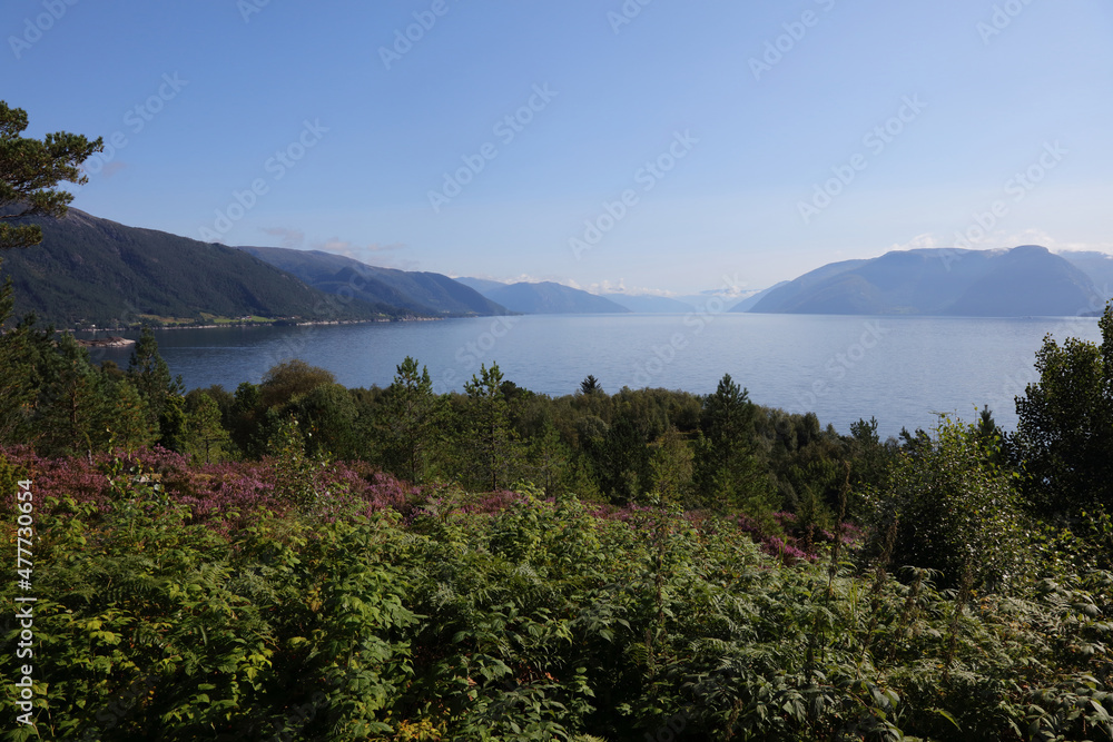 Norwegen - Sognefjord bei Nordrevik und Vadheim / Norway - Sognefjorden near Nordrevik and Vadheim /