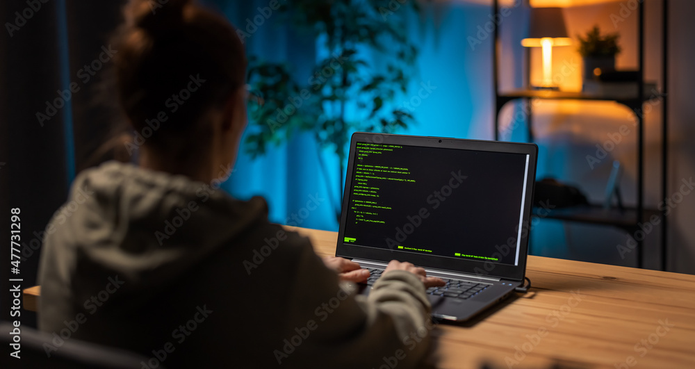 Back view of mature woman coding html on modern laptop while sitting at home during evening time. Female programmist working late at living room. Back view of mature woman coding html on modern laptop while sitting at home during evening time. Female programmist working late at living room.