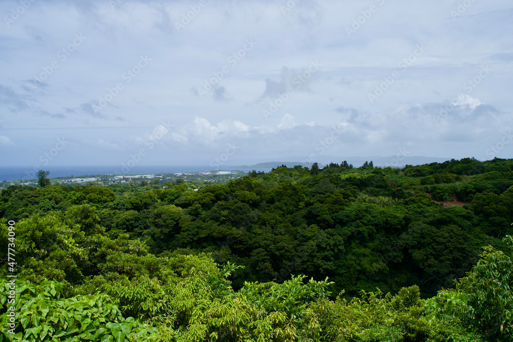 Landscape with trees and clouds in Okinawa. Landscape with trees and clouds in Okinawa.