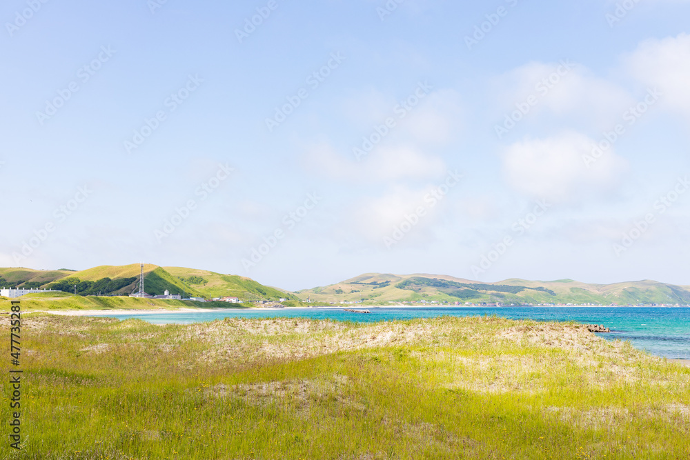 夏の礼文島風景