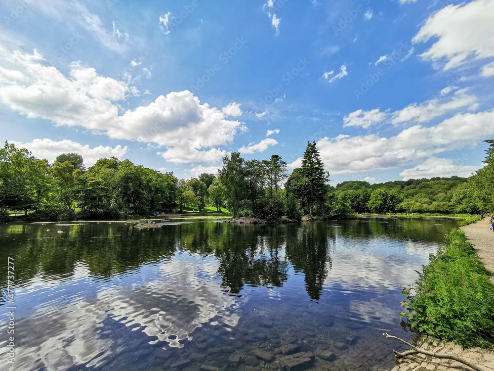 Fototapeta premium lake and forest