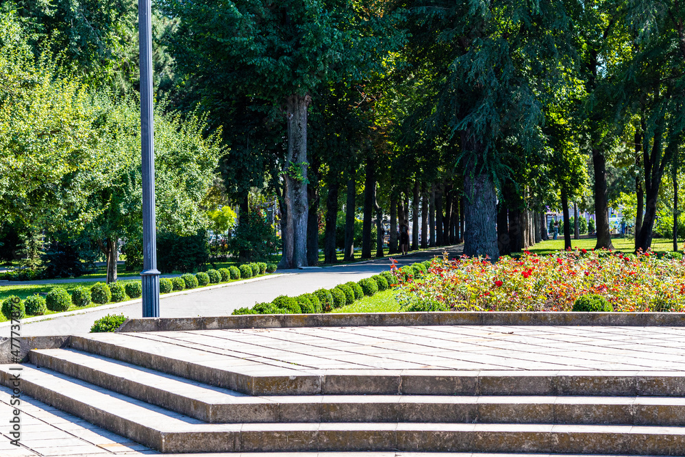 Obraz premium spring in the park